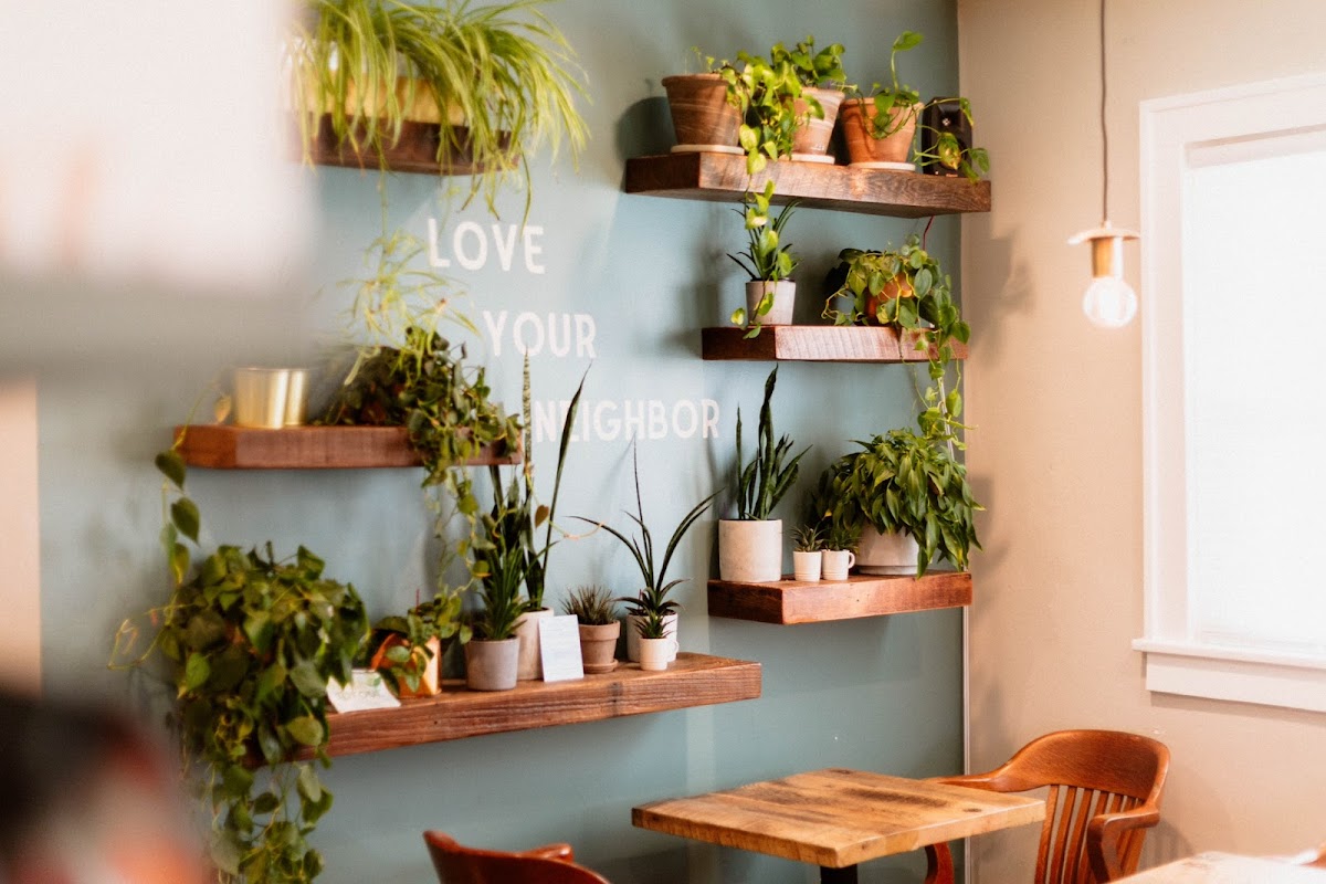 Teleo Coffee